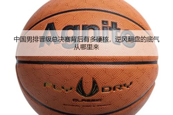 img_1782457129579_73_1_132.jpg